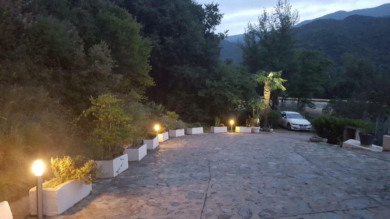 Willa Mas Solar D'En Malcion Amélie-les-Bains-Palalda Zewnętrze zdjęcie